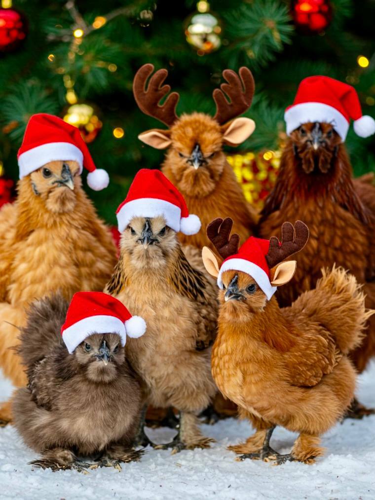 19 января 2025